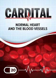 Cardital Producto